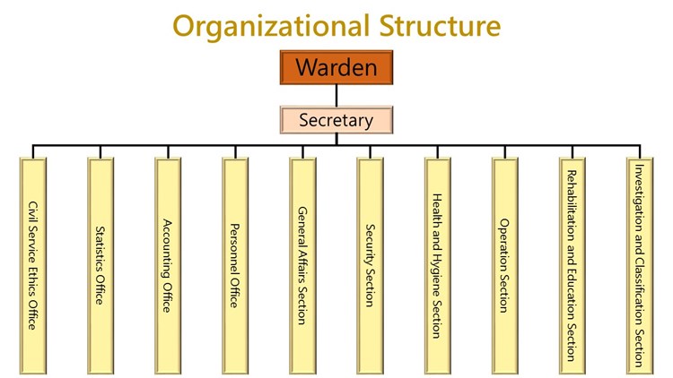 organizational structure