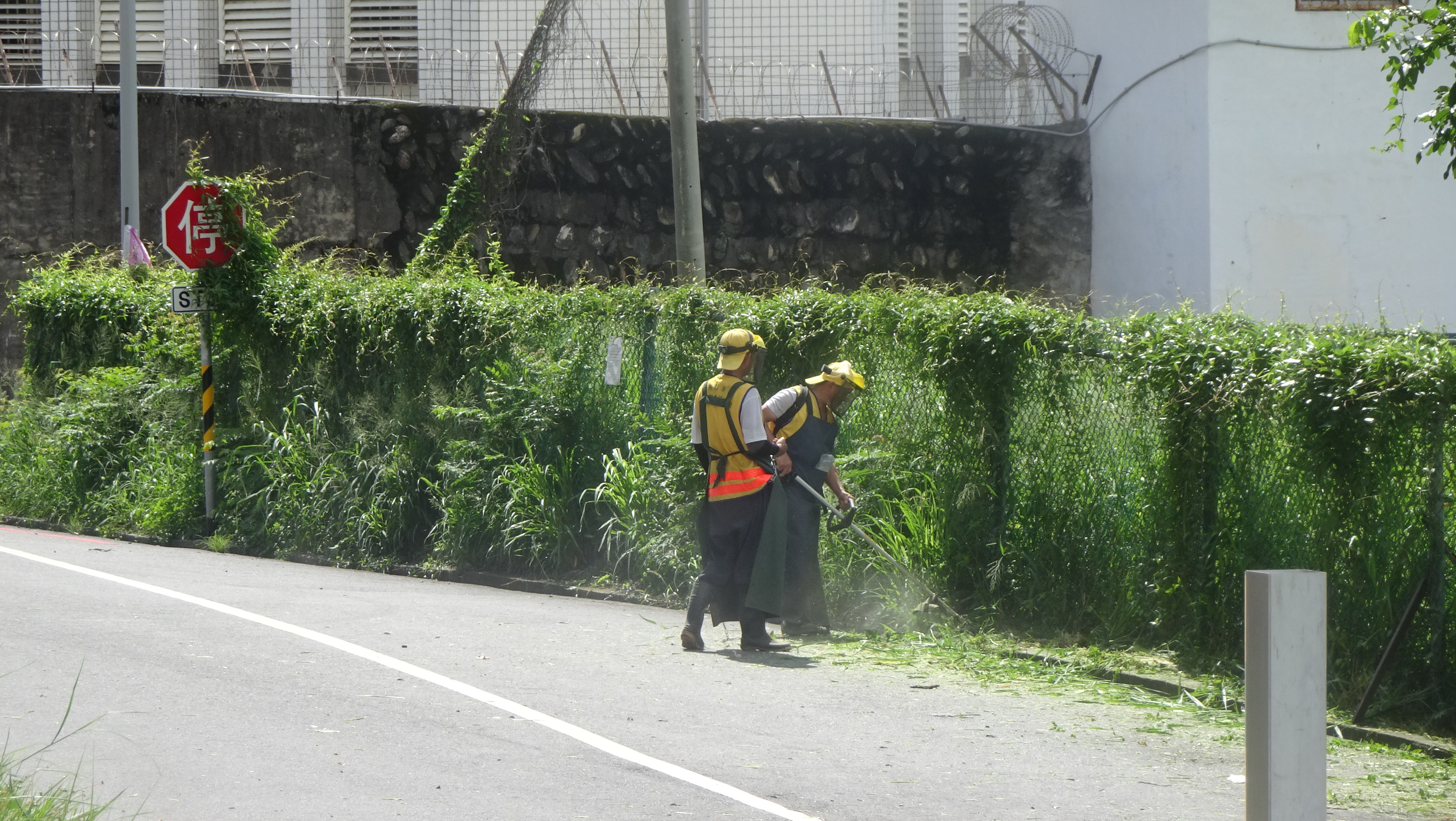Our team helped clean roads