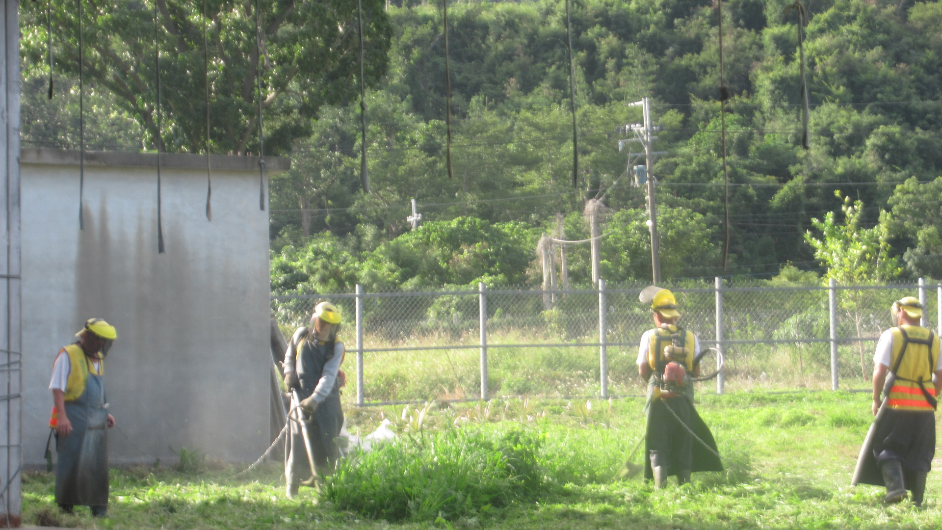 Our staff initiated cleaning up the environment in the nearby community on Dec. 23th